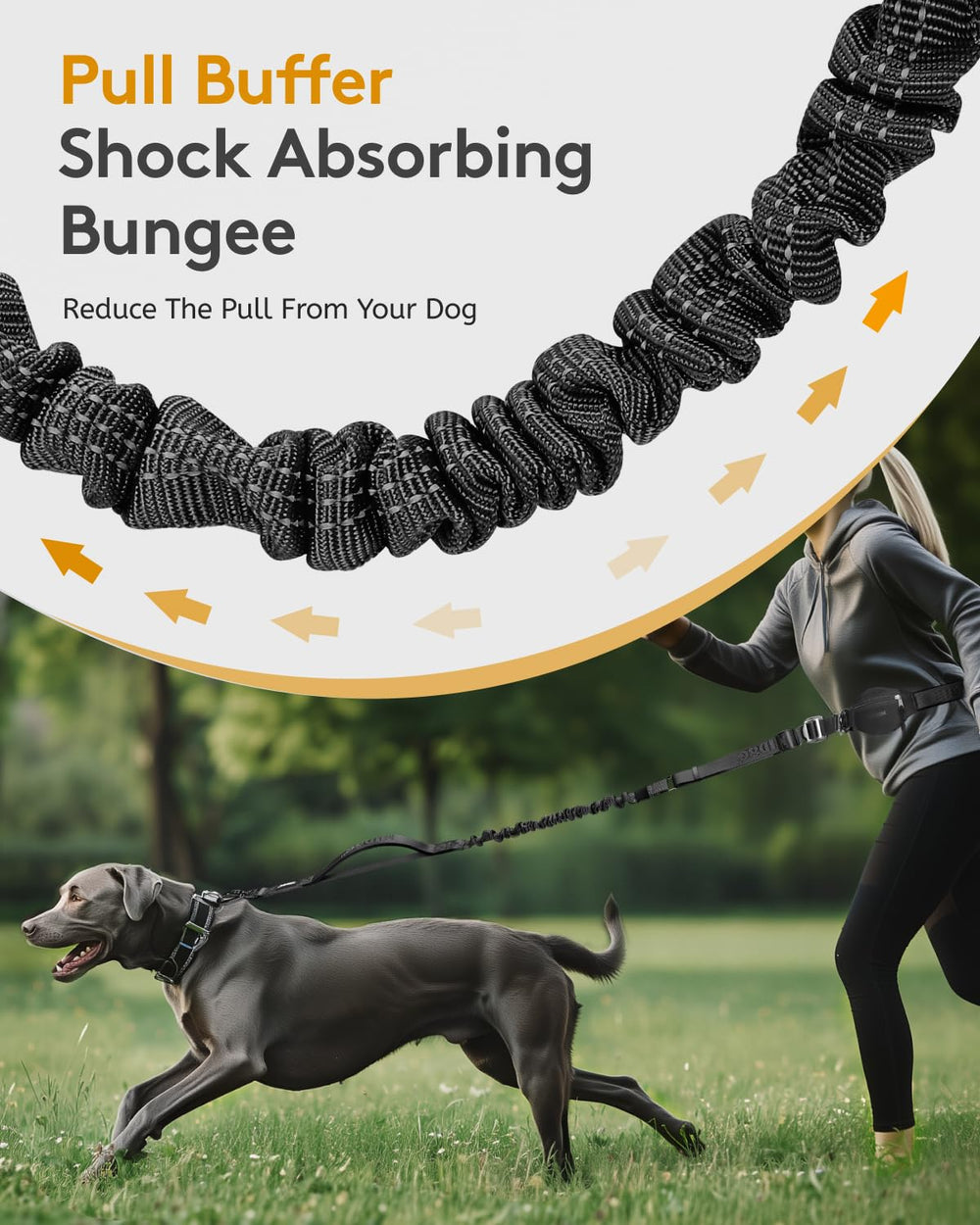 MIDOG reinforced cross-stitching boosts leash longevity for large dogs