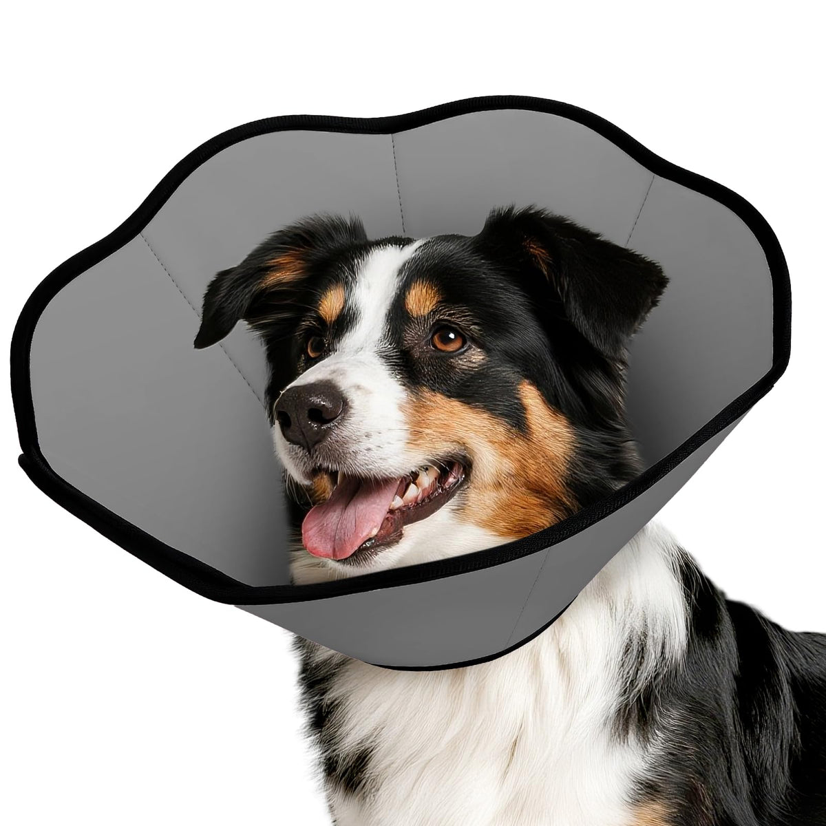 MIDOG soft cone collar closeup showing breathable microfiber for comfortable recovery