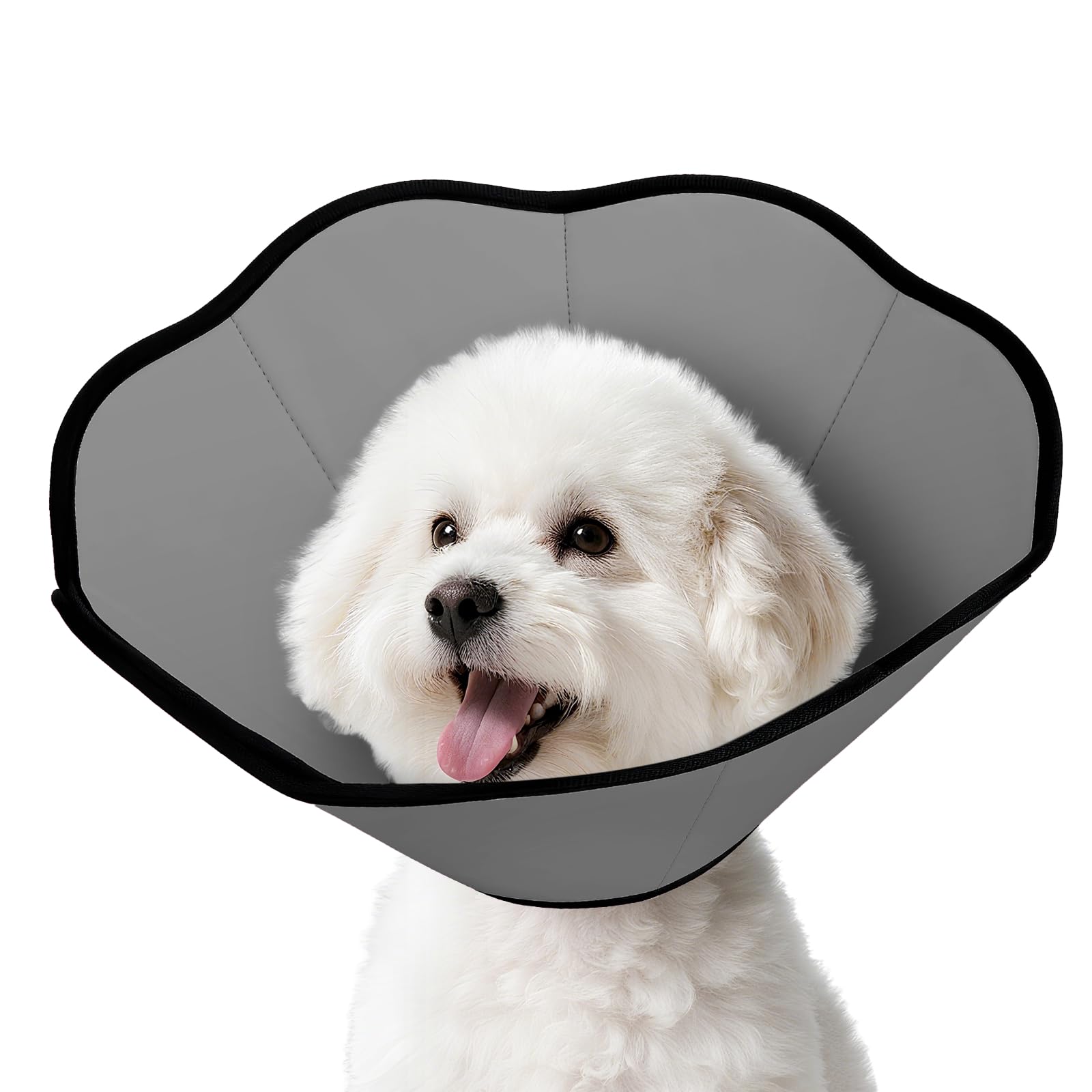 MIDOG soft-cone collar gently supports wounds while preventing licking.