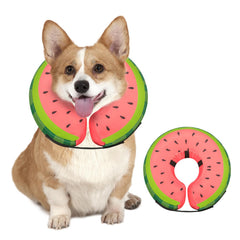 MIDOG soft inflatable dog cone worn around the neck to prevent licking during recovery.