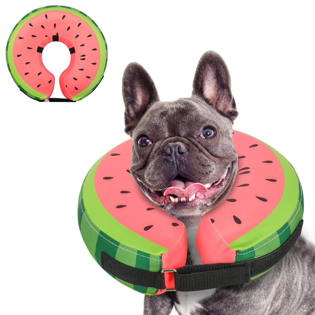 MIDOG soft inflatable dog cone inflated for comfortable recovery and unrestricted movement