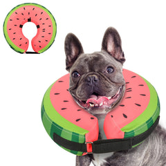 MIDOG soft inflatable dog cone inflated for comfortable recovery and unrestricted movement