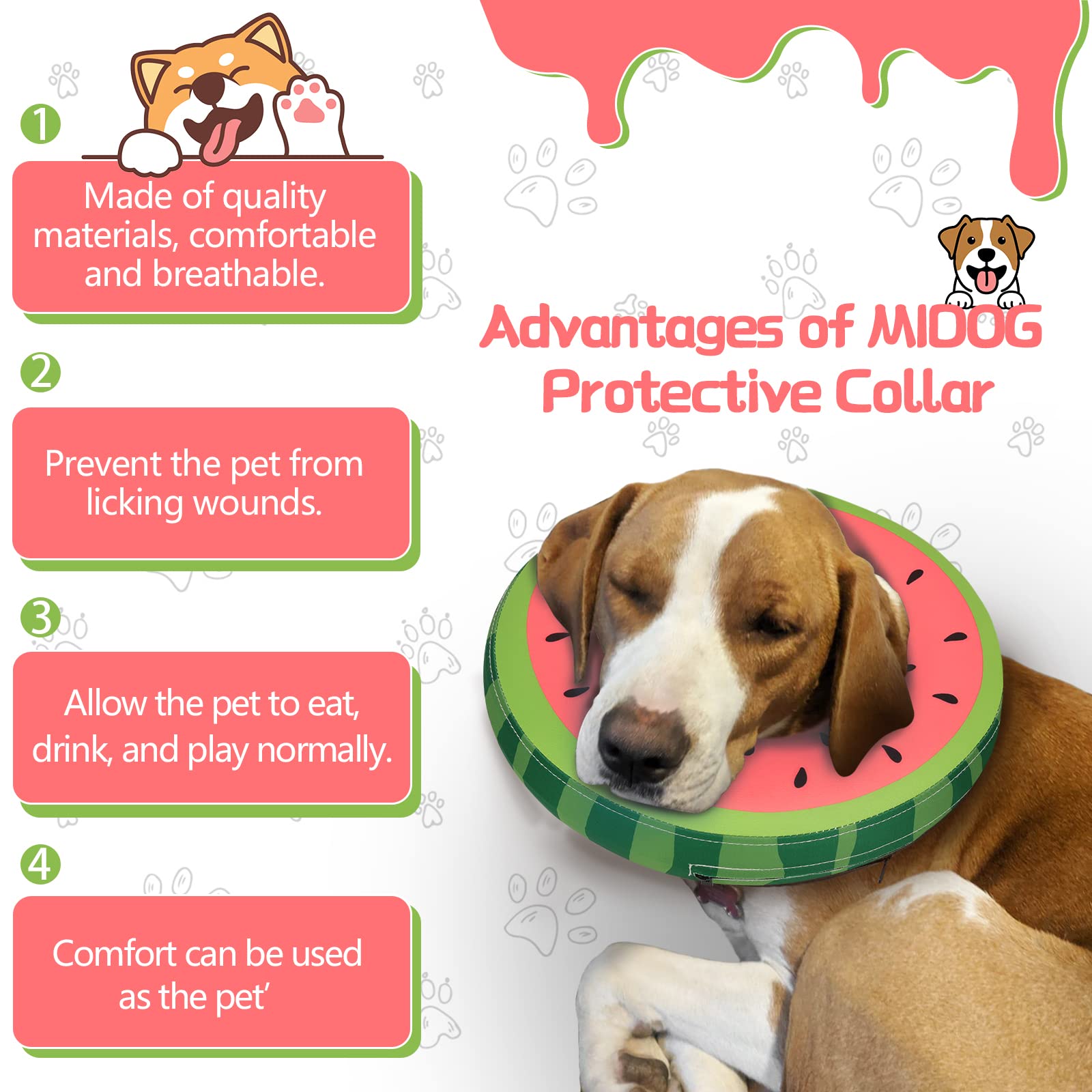 MIDOG inflatable cone resting on a dog highlights gentle support and comfort.