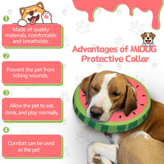 MIDOG inflatable cone resting on a dog highlights gentle support and comfort.