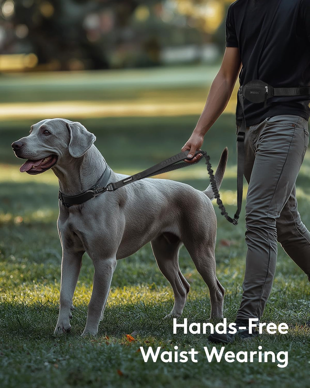 MIDOG waist leash with zipper pouch keeps keys and waste bags handy during walks