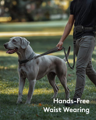 MIDOG waist leash with zipper pouch keeps keys and waste bags handy during walks