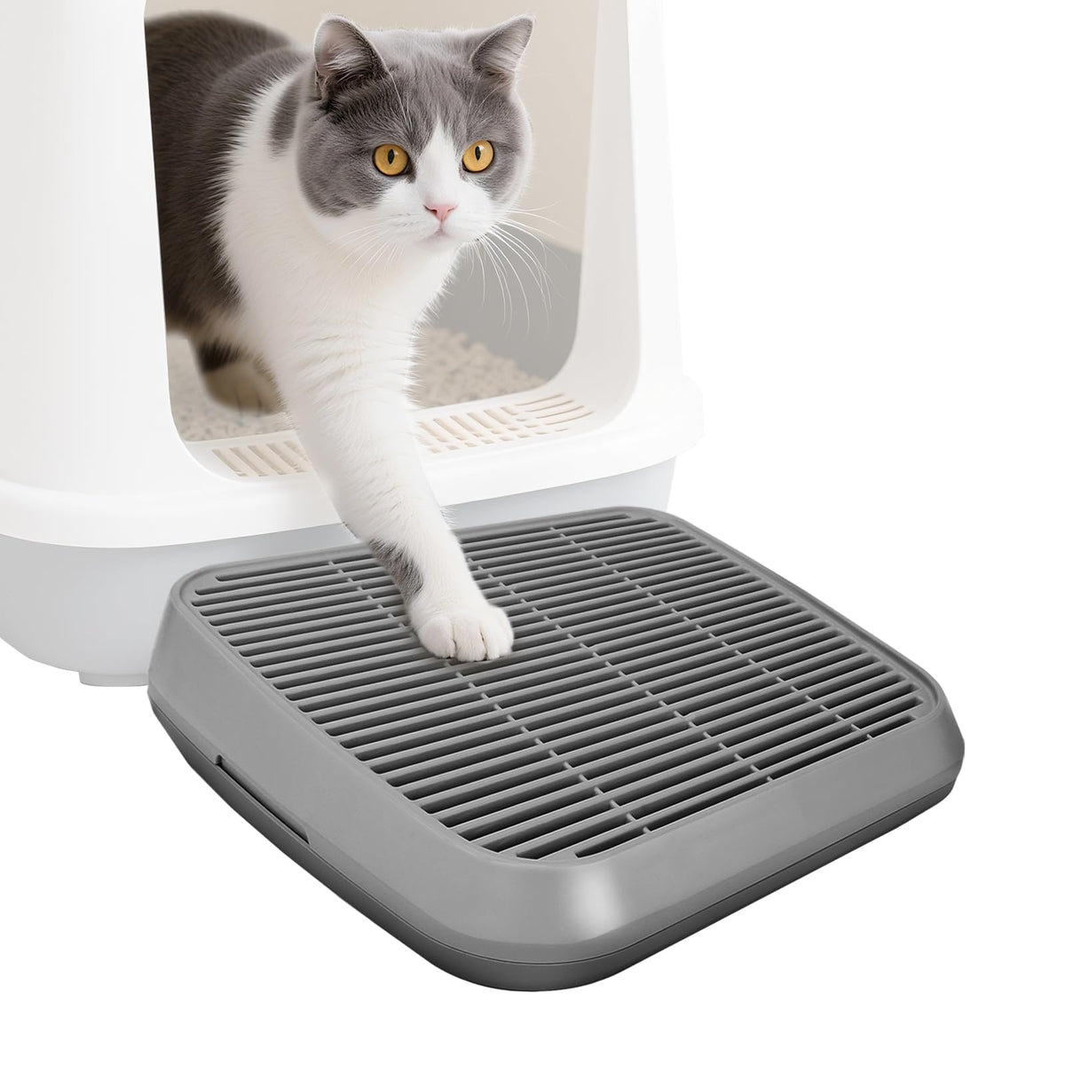 Midollarle cat ramp entry-angle demonstrates easy access for kittens and seniors, promoting safer litter box entry.
