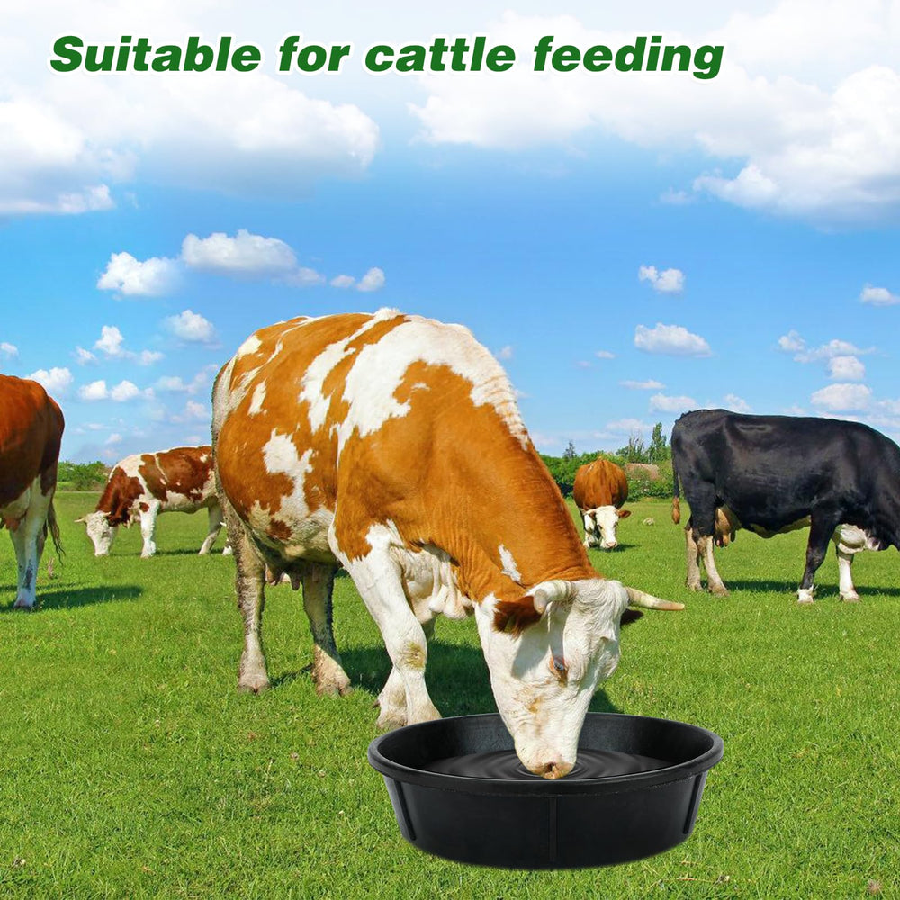 Midollarle easy-clean smooth surface for quick post-feeding cleanup