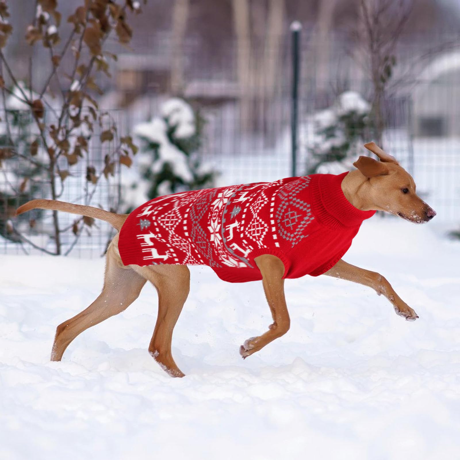 Midollarle X-Large dog sweater size chart helps find the right fit