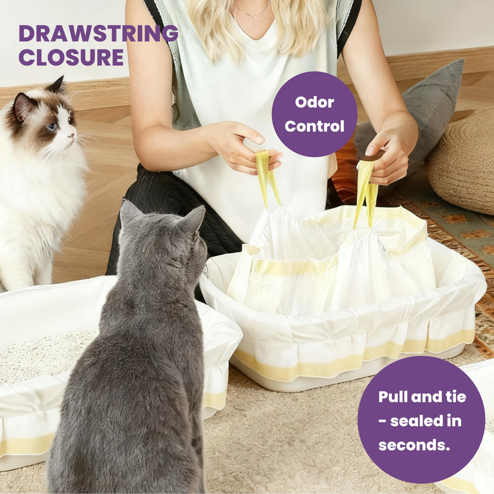 Miemie's Corner 50-pcs pack visually emphasizes long-lasting supply.