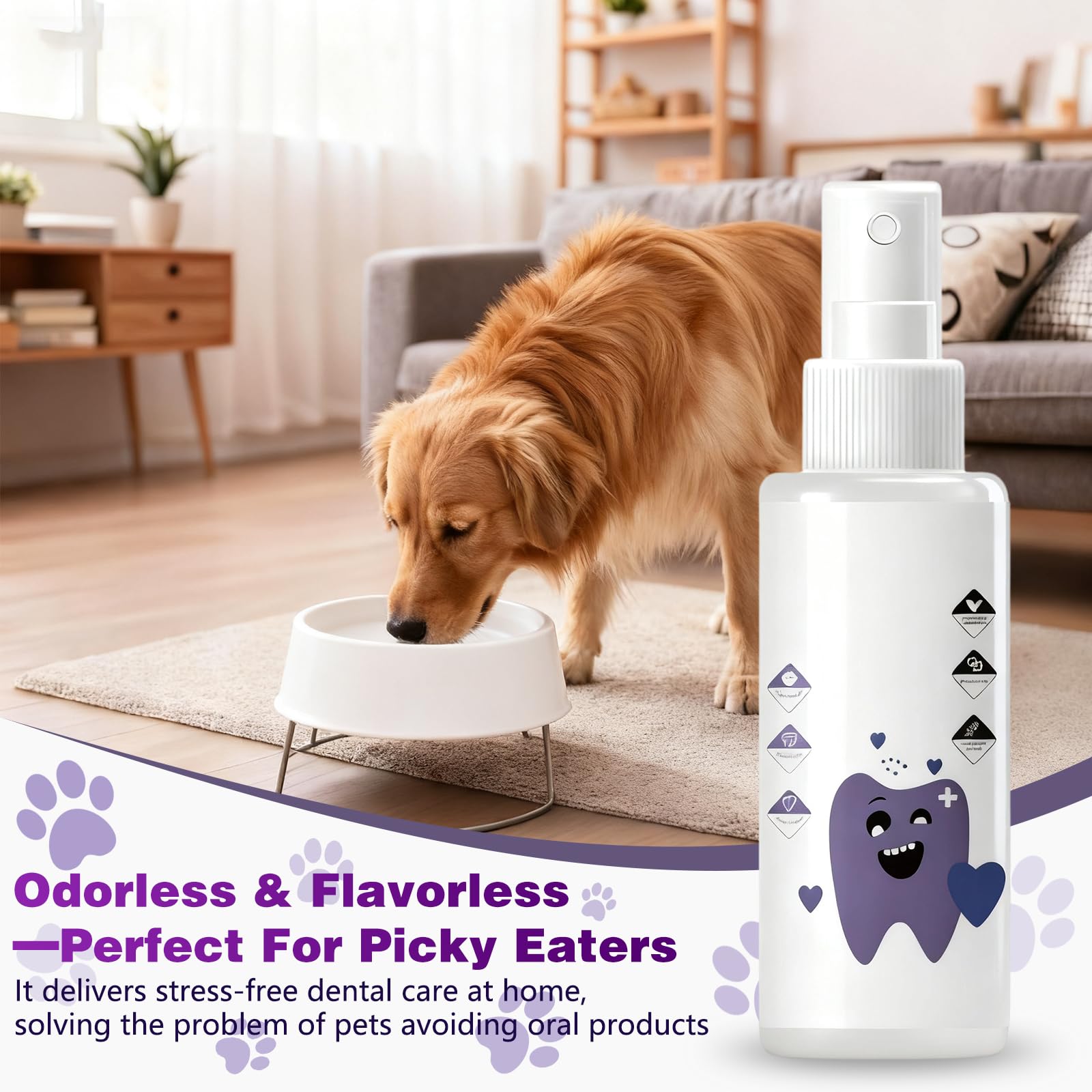 Miehoous Pawbright Dental Plus in a dog's water bowl for convenient tartar control