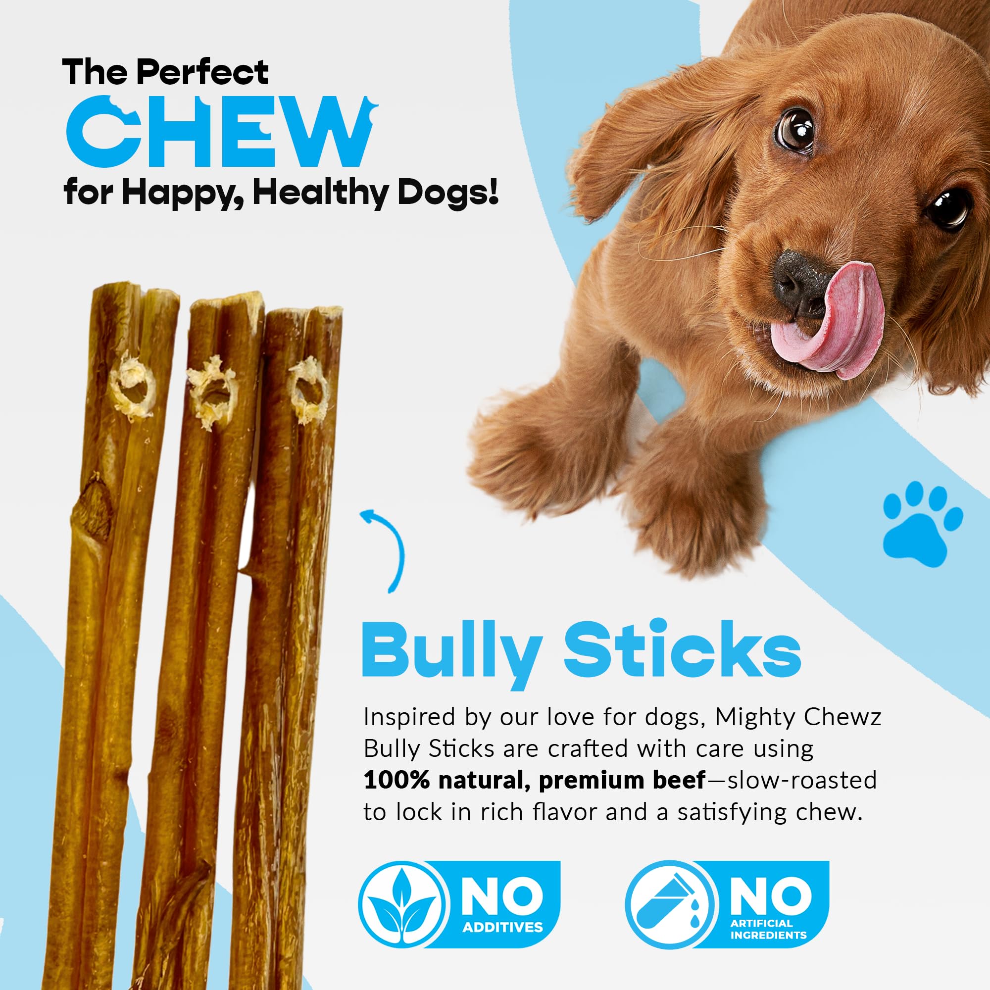 MIGHTY CHEWZ 7-inch standard bully sticks ready for chewing