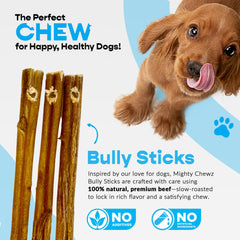 MIGHTY CHEWZ 7-inch standard bully sticks ready for chewing