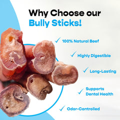 MIGHTY CHEWZ all-natural beef bully sticks with pure ingredients