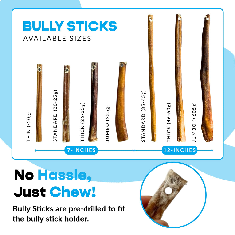 MIGHTY CHEWZ bully bone compatible holder demonstrates secure use