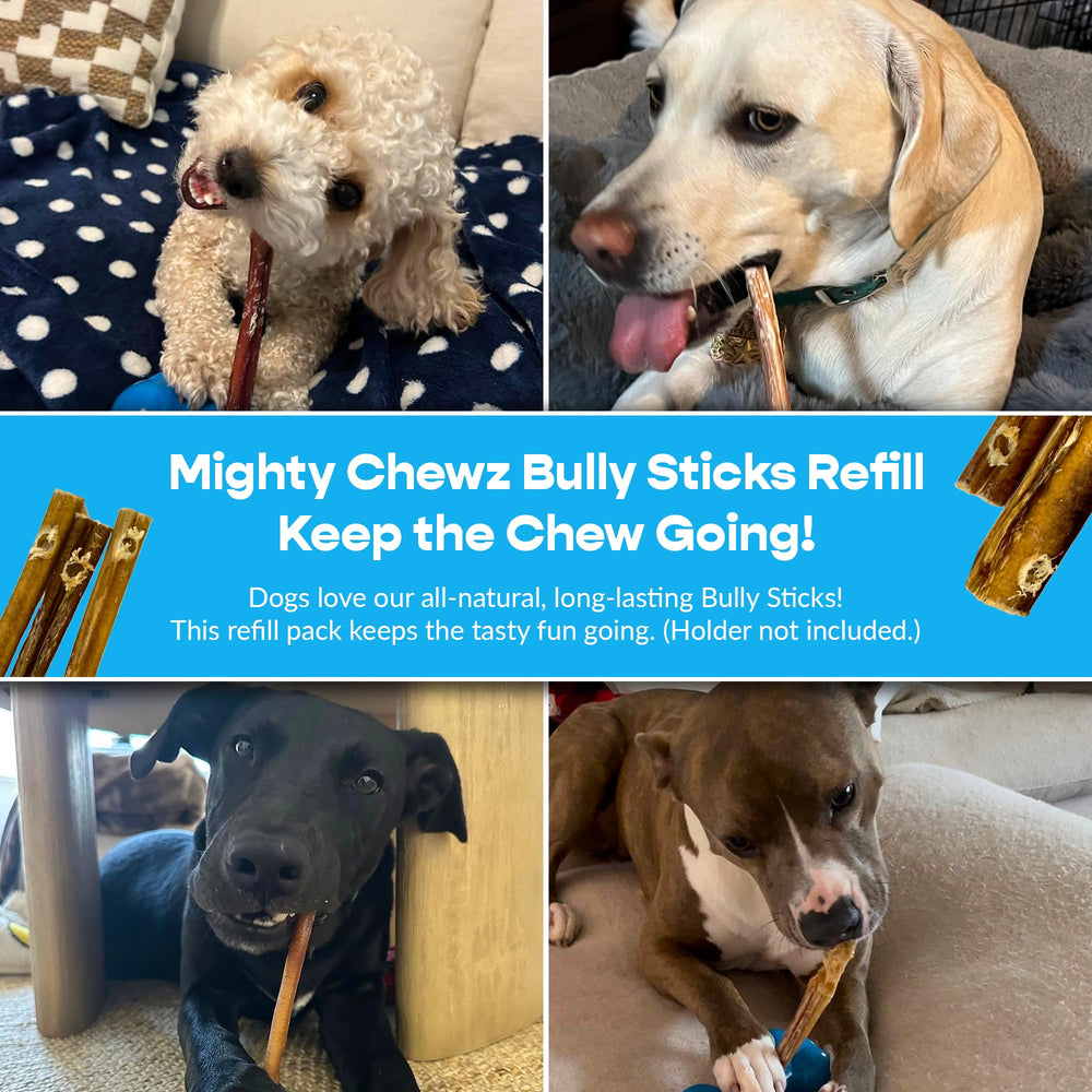 MIGHTY CHEWZ long-lasting chew texture for satisfying sessions