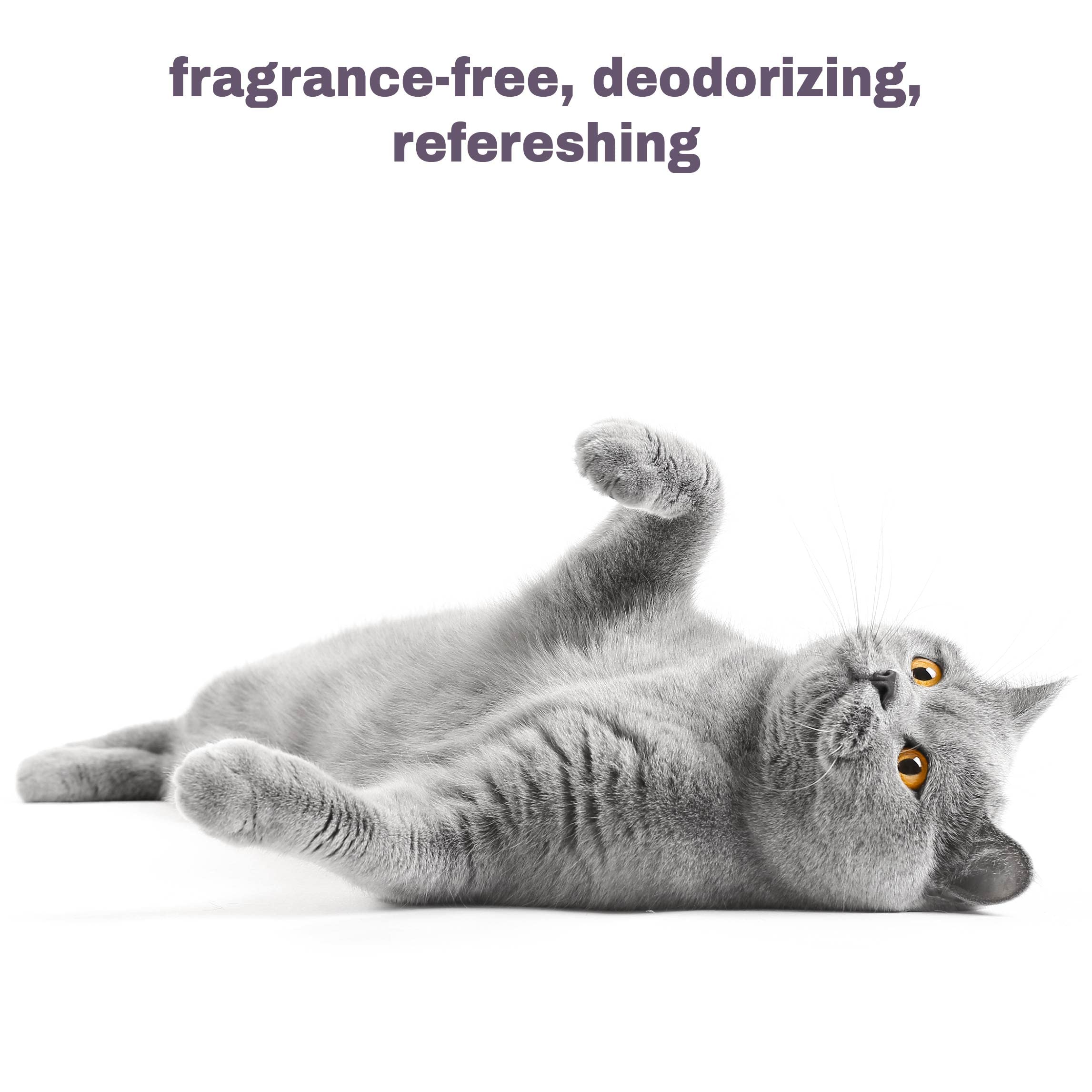 Mighty Meow cruelty-free USA-made badge on packaging highlights ethical sourcing.