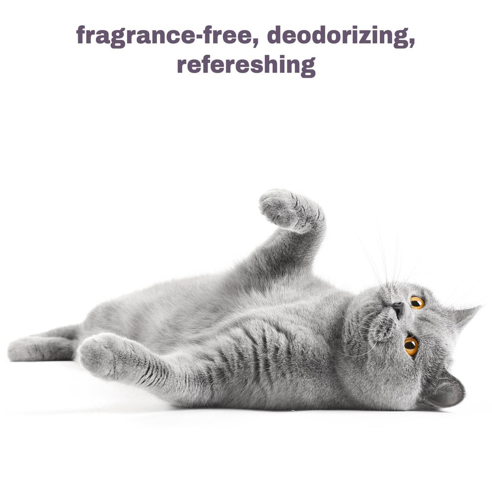 Mighty Meow cruelty-free USA-made badge on packaging highlights ethical sourcing.