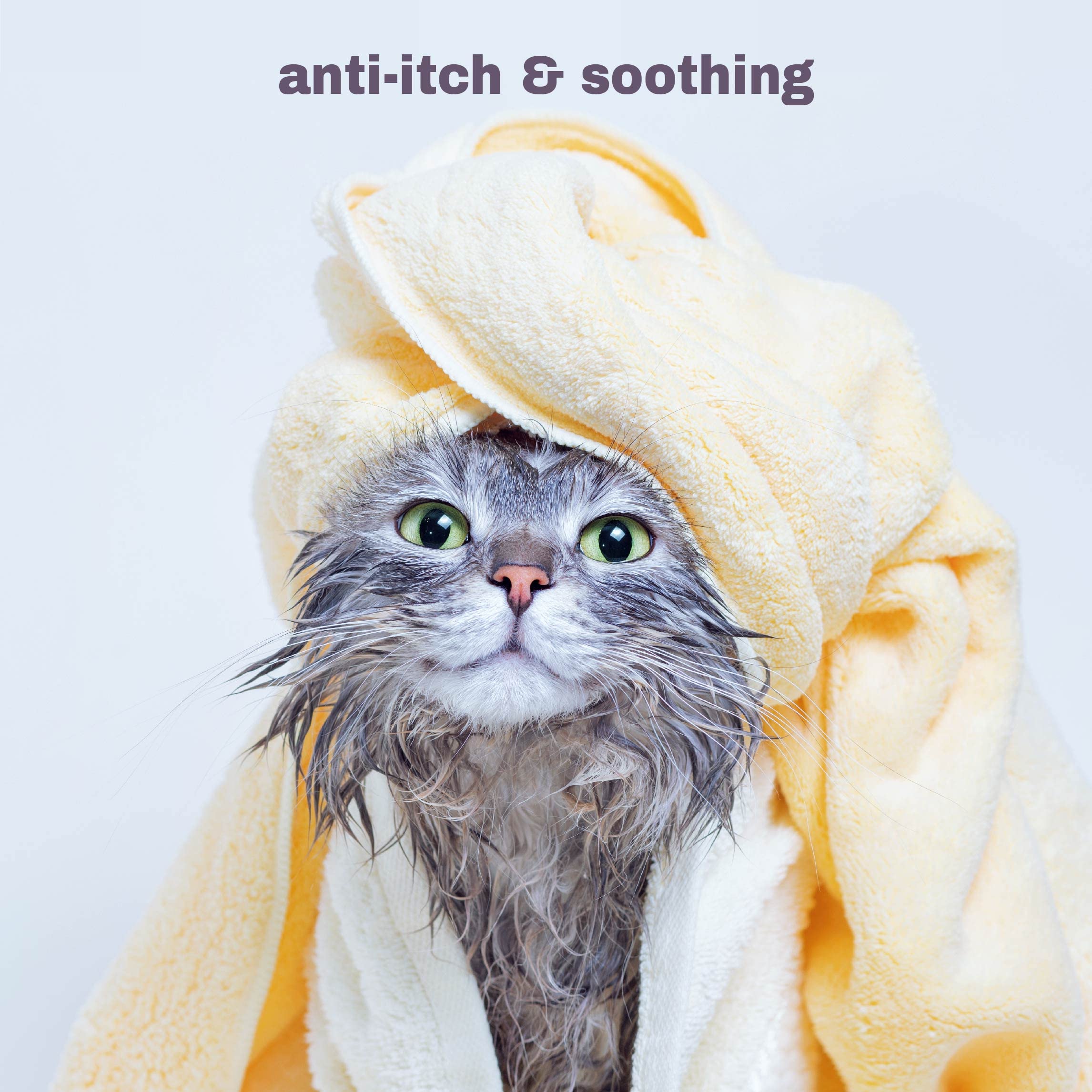 Mighty Meow suitable for kittens with mild, safe cleansing during grooming.