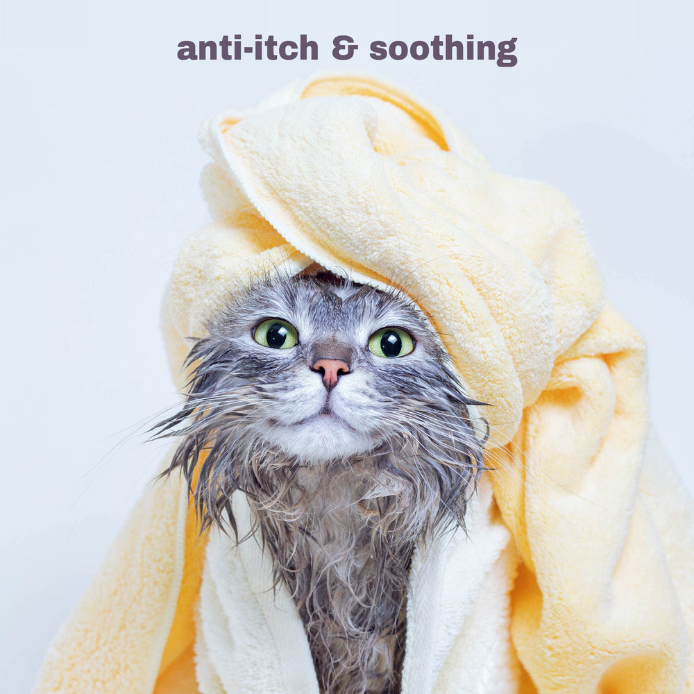 Mighty Meow suitable for kittens with mild, safe cleansing during grooming.