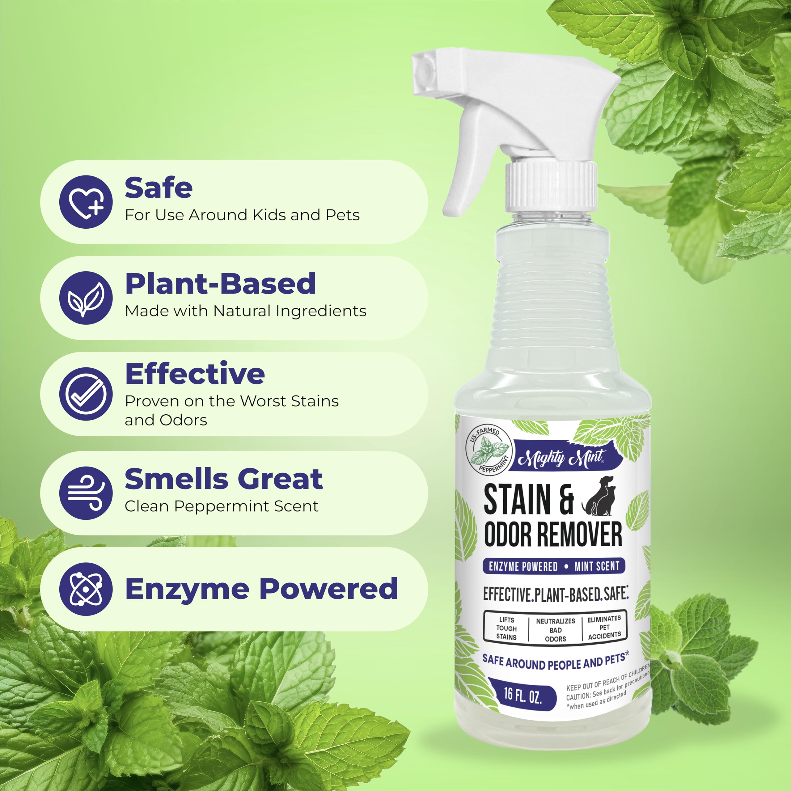 Mighty Mint car seats spray illustrates versatile fabric cleaning for vehicles