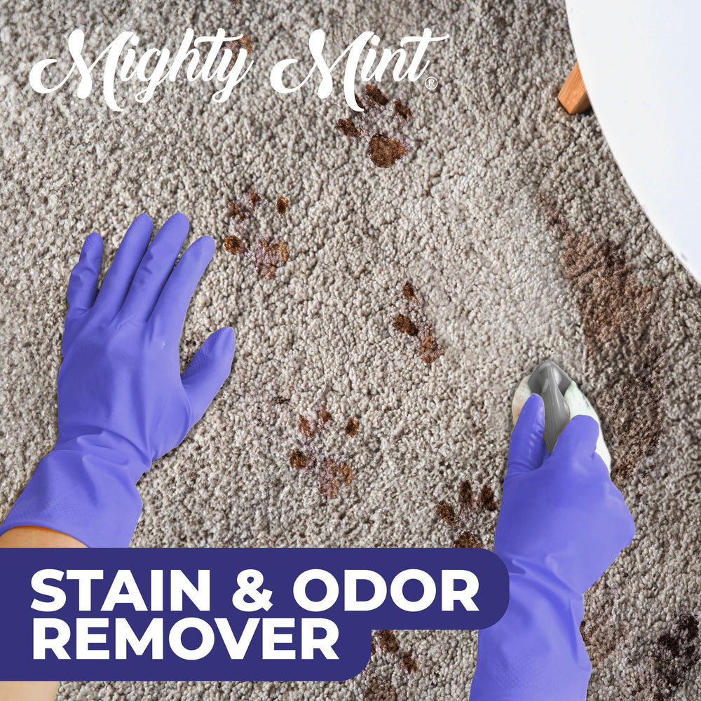 Mighty Mint on carpet demonstrates quick odor neutralization in living room