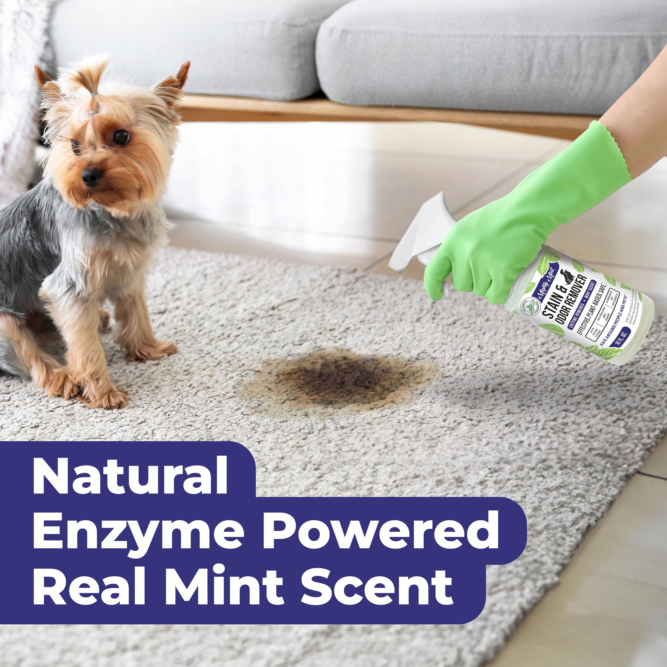 Mighty Mint enzyme label highlights plant-based ingredients and peppermint freshness