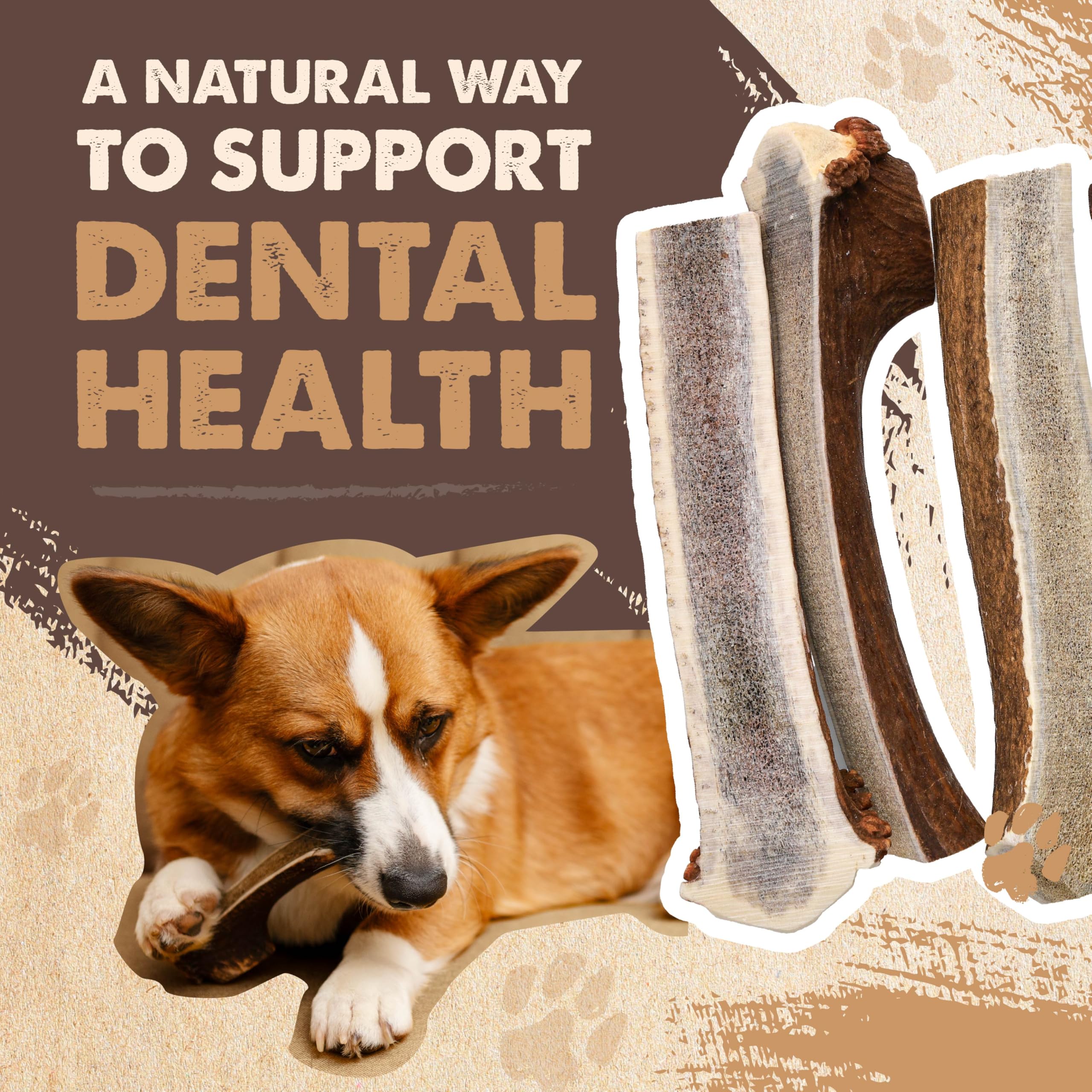 Mighty Paw all-natural dog antler chew emphasizes chemical-free enjoyment
