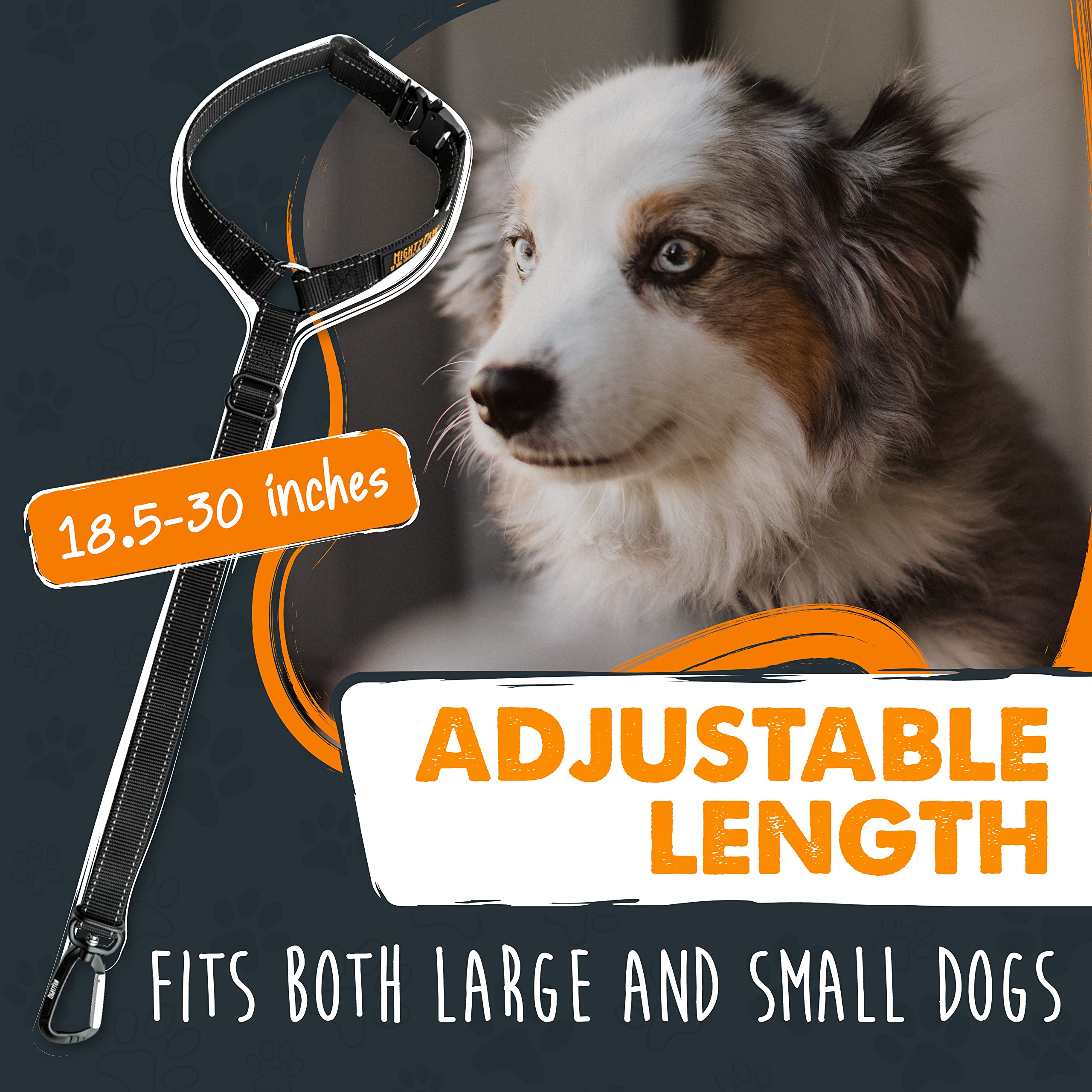 Mighty Paw aviation-grade carabiner closeup highlights durable safety hardware.