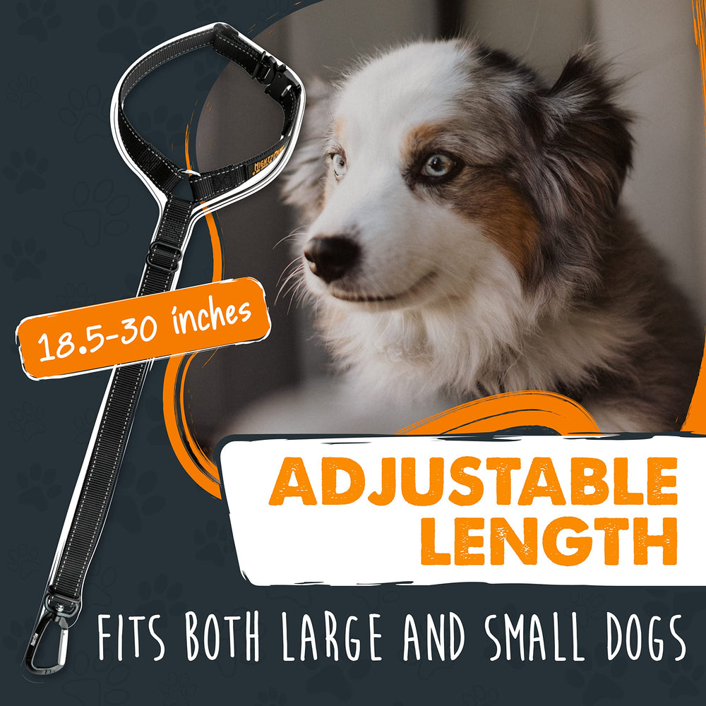 Mighty Paw aviation-grade carabiner closeup highlights durable safety hardware.