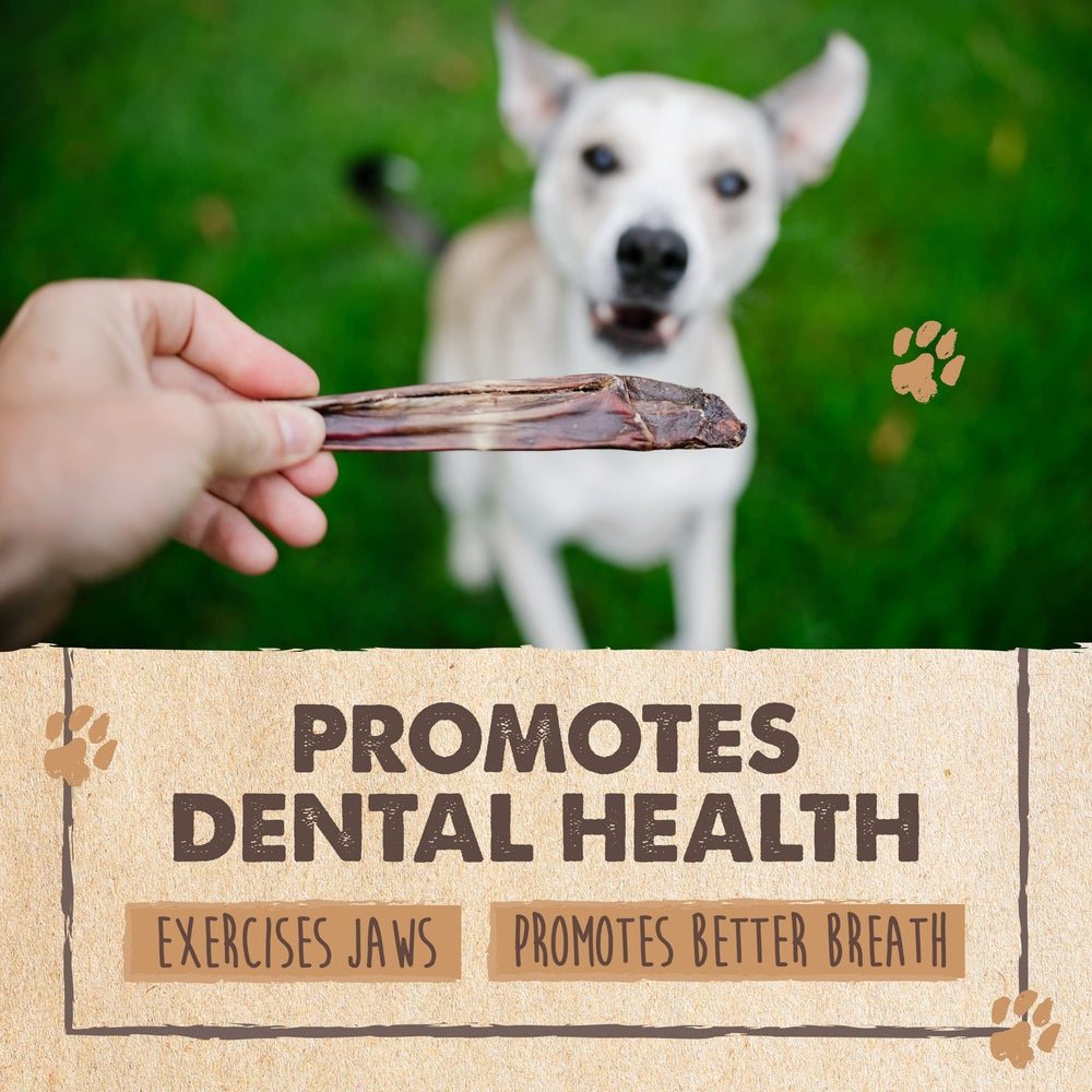 Mighty Paw beef gullet sticks free from artificial flavors and gluten.