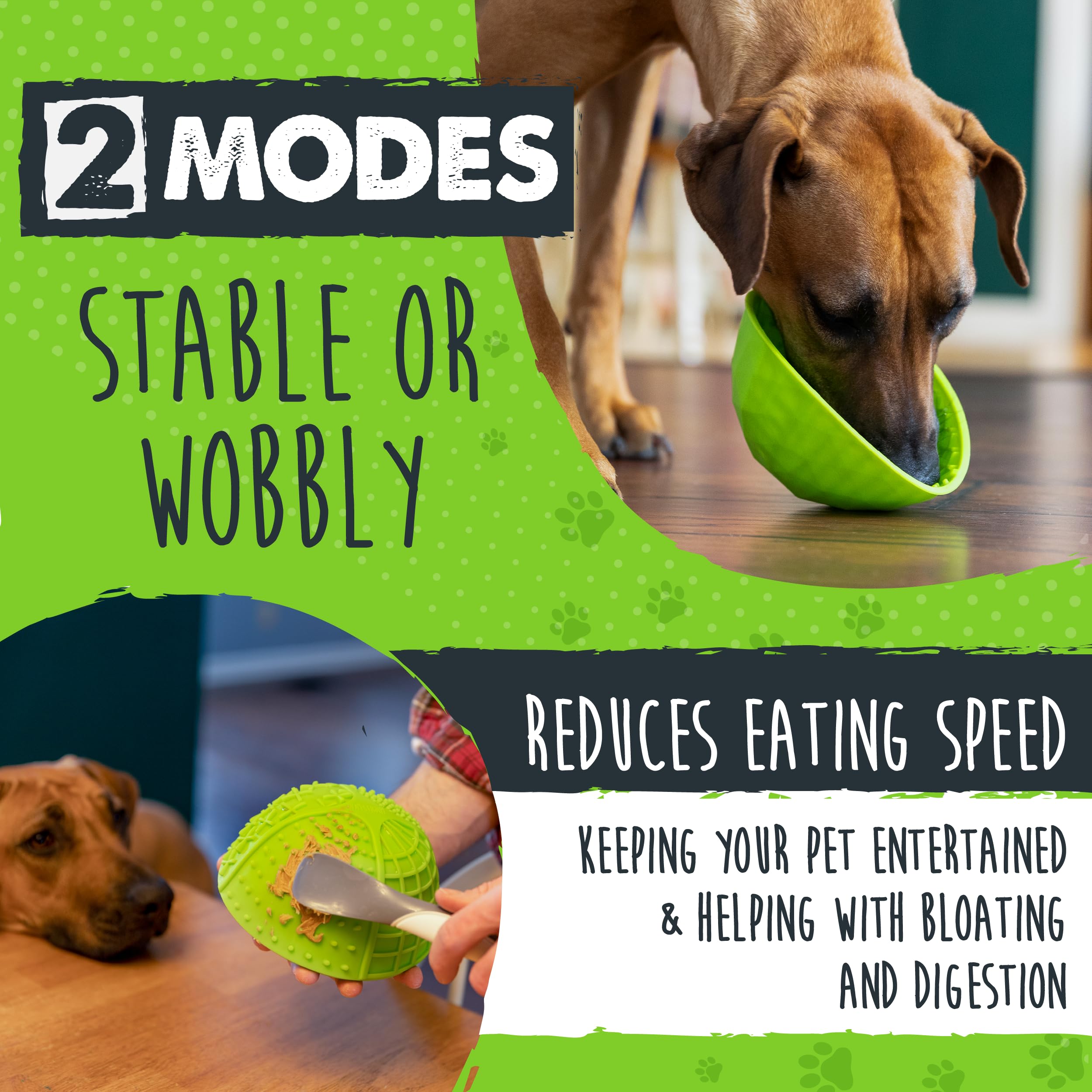 Modos estables e inestables para mantener a tu perro concentrado.