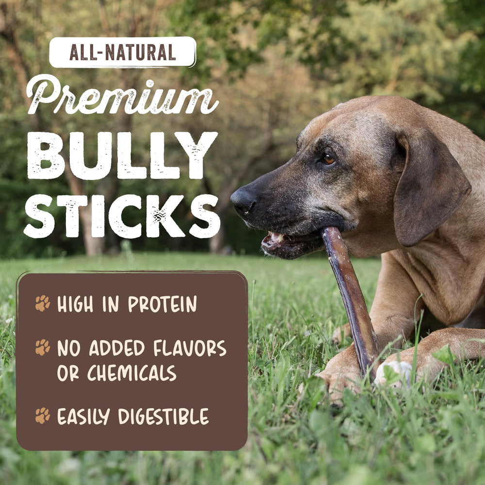 Mighty Paw 12 inch bully sticks closeup showcases natural beef flavor.