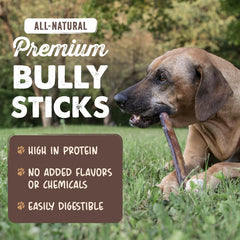 Mighty Paw 12 inch bully sticks closeup showcases natural beef flavor.
