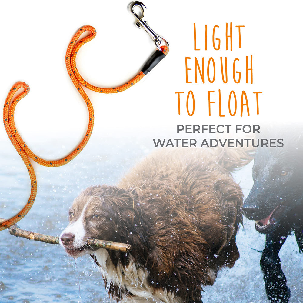 Mighty Paw Check Cord reflective stitching boosts night visibility for safer outdoor training
