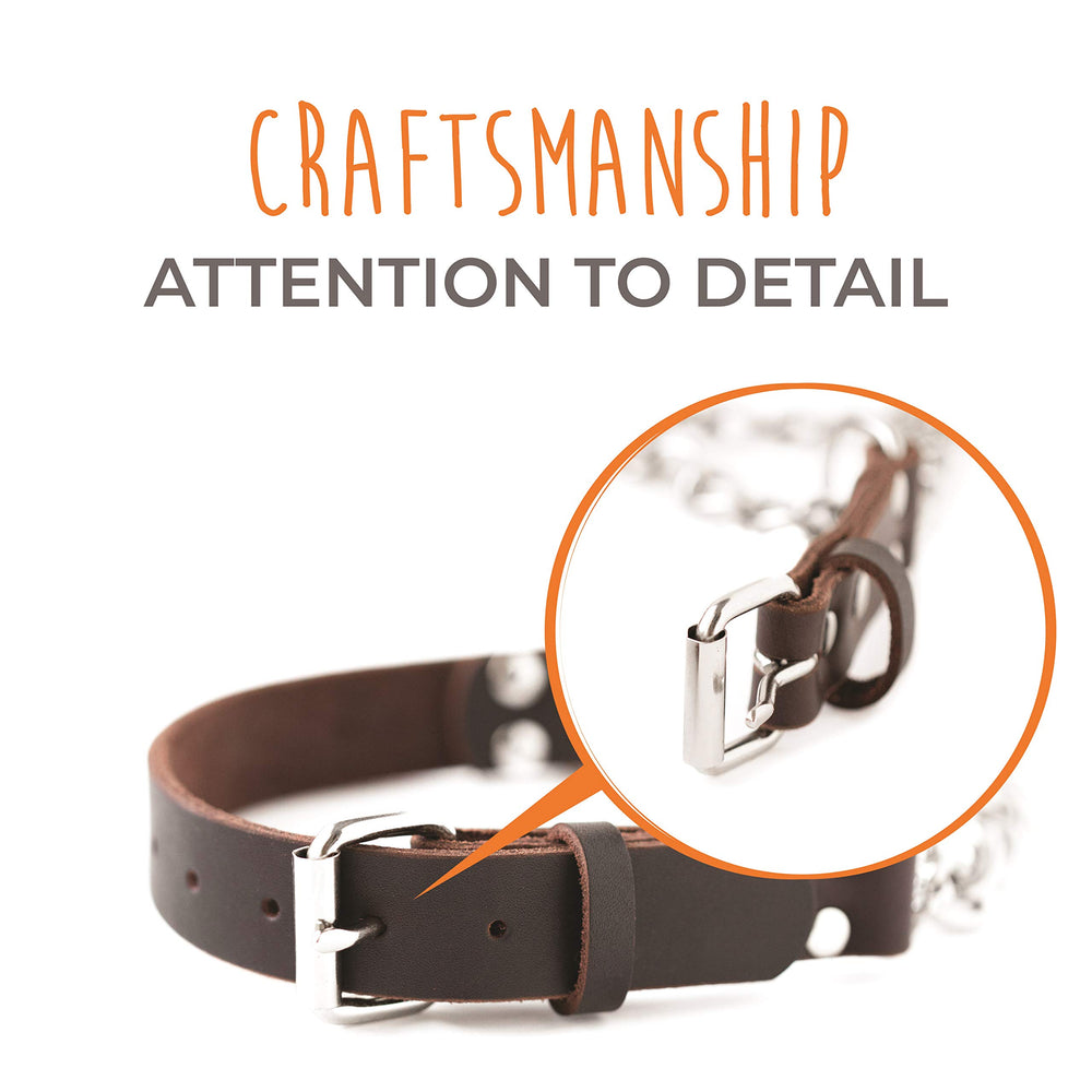 Mighty Paw martingale durable hardware ready for daily use