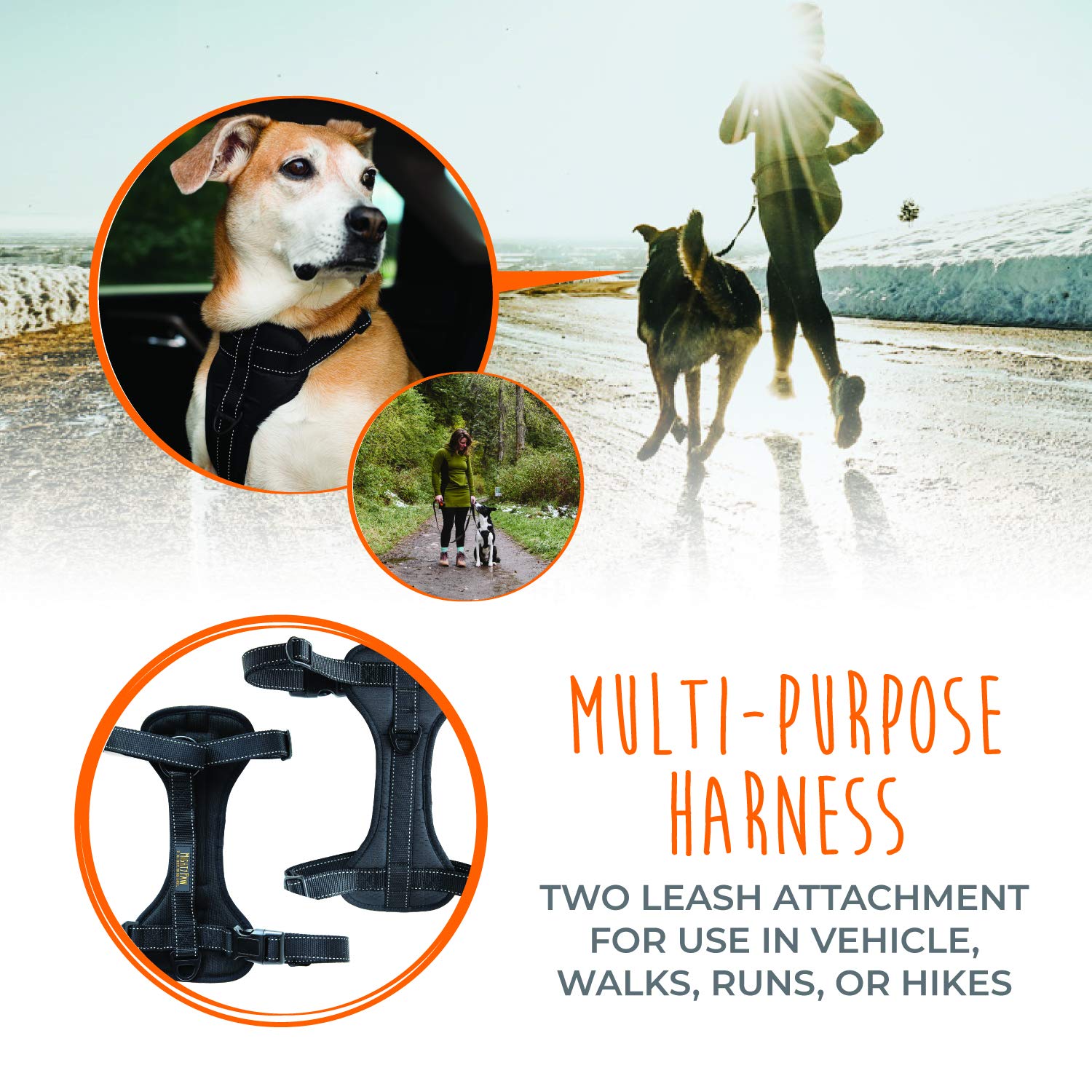 Mighty Paw Dog Car Harness adjustable straps adapt to different dog sizes for comfort.