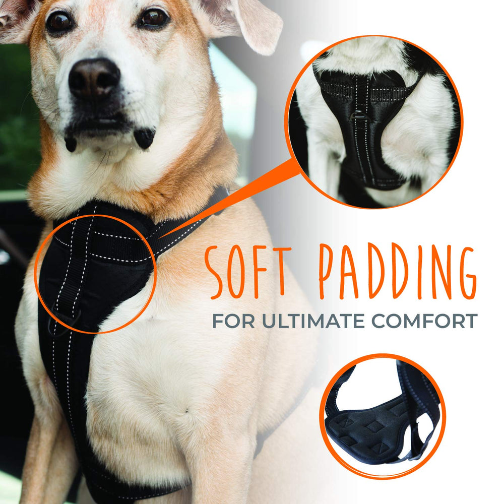 Mighty Paw Dog Car Harness back view highlights secure car travel and easy leash access.
