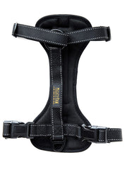 Mighty Paw Dog Car Harness front view ensures secure travel and front-leash control.