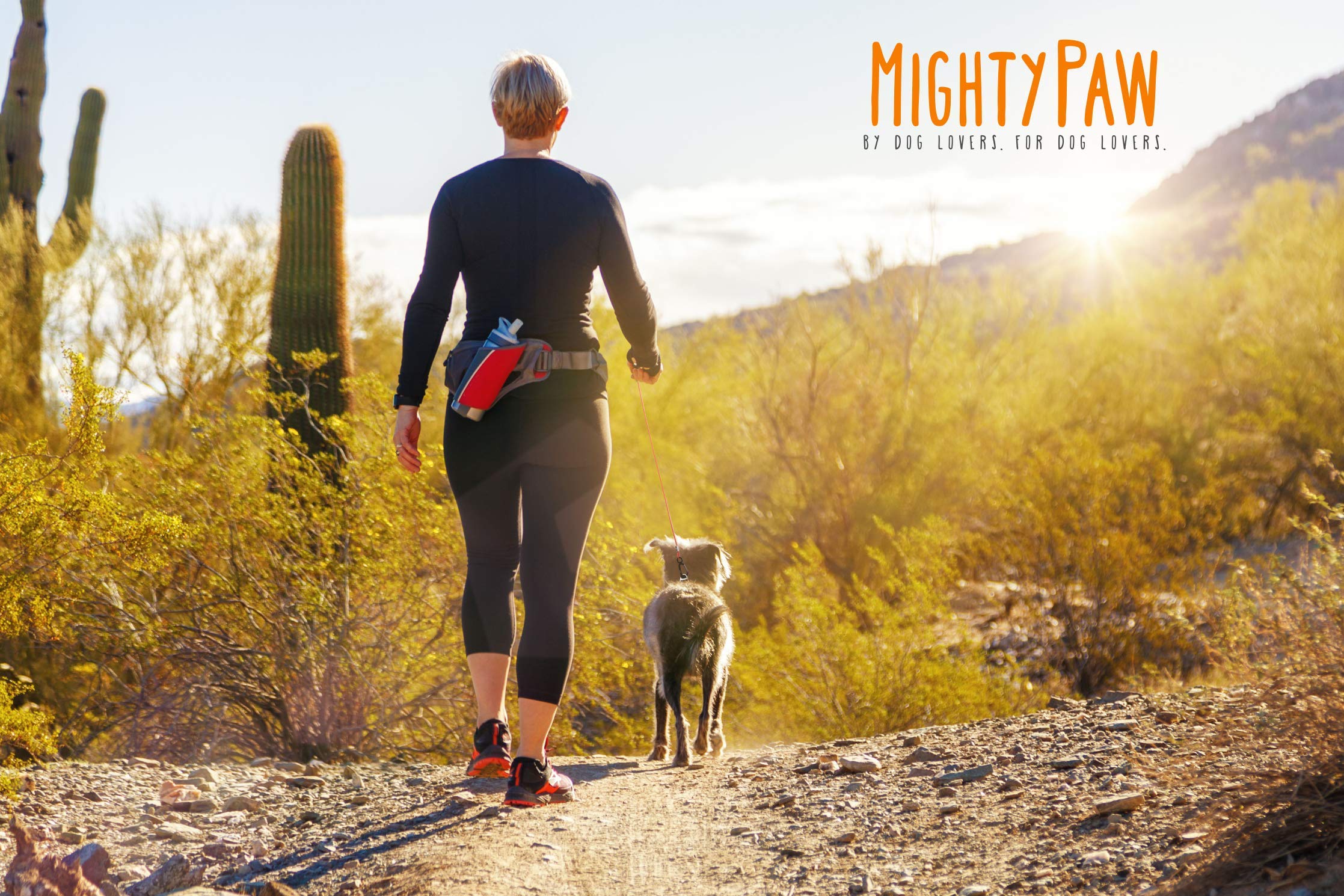 Mighty Paw Dog Leash dual-function tie-out design adds practical versatility.