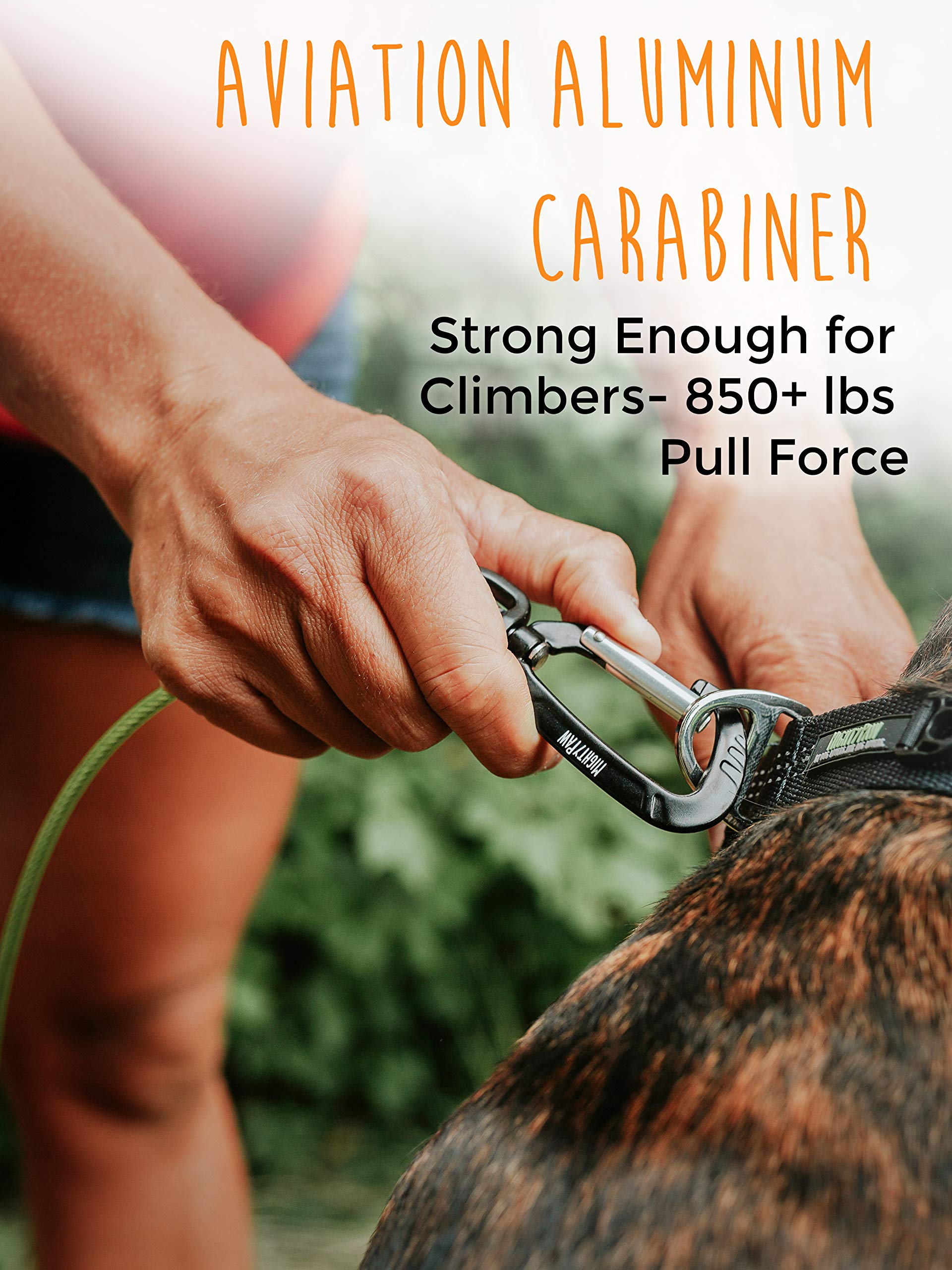 Mighty Paw dog leash padded handle delivers comfortable grip during long walks and training sessions.