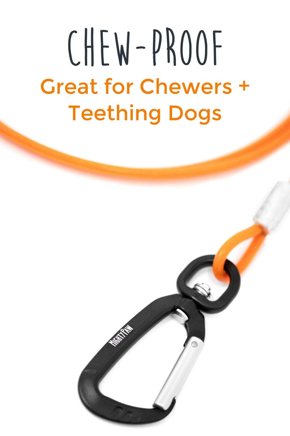 Mighty Paw Dog Leash six-foot orange for visibility and control.