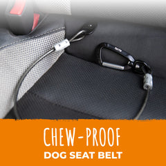Mighty Paw dog seat belt chew-proof wire detail shows durable teething-proof construction.