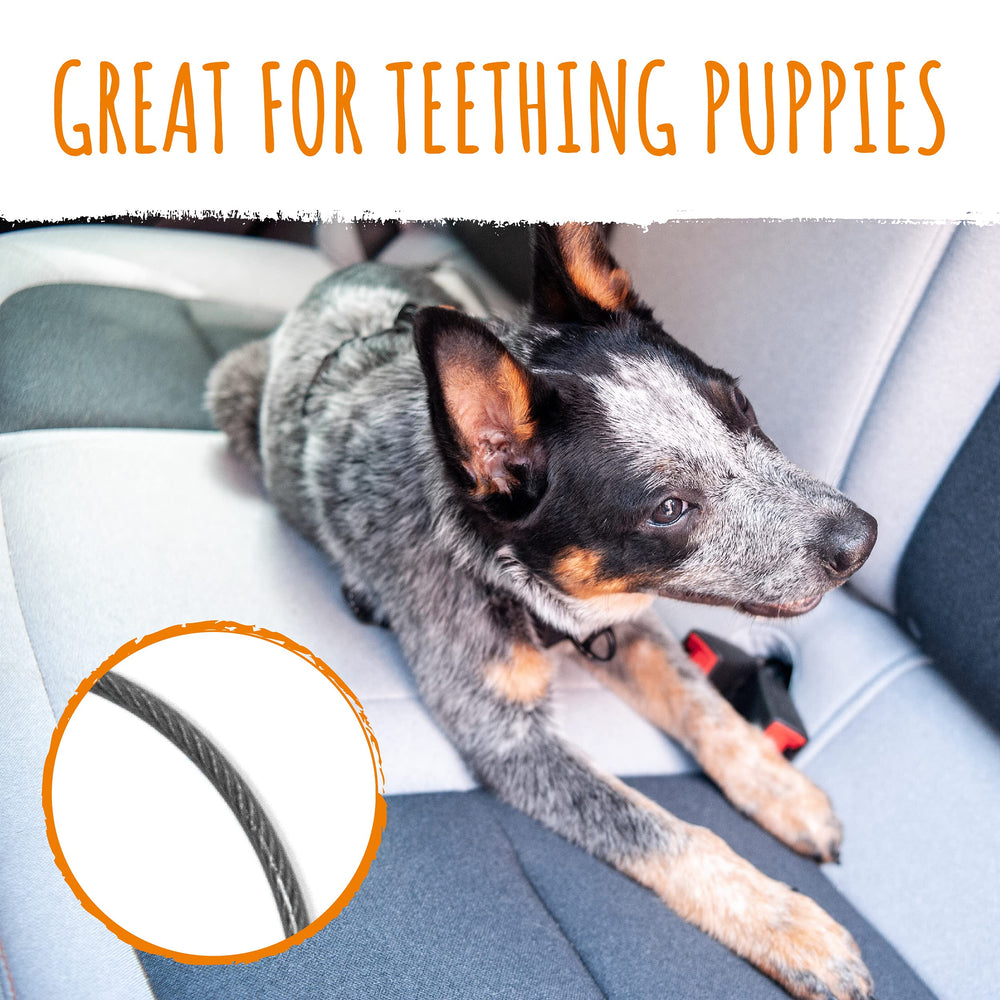 Mighty Paw dog seat belt harness-attachment demonstrates quick harness-link for stable, distraction-free road trips.