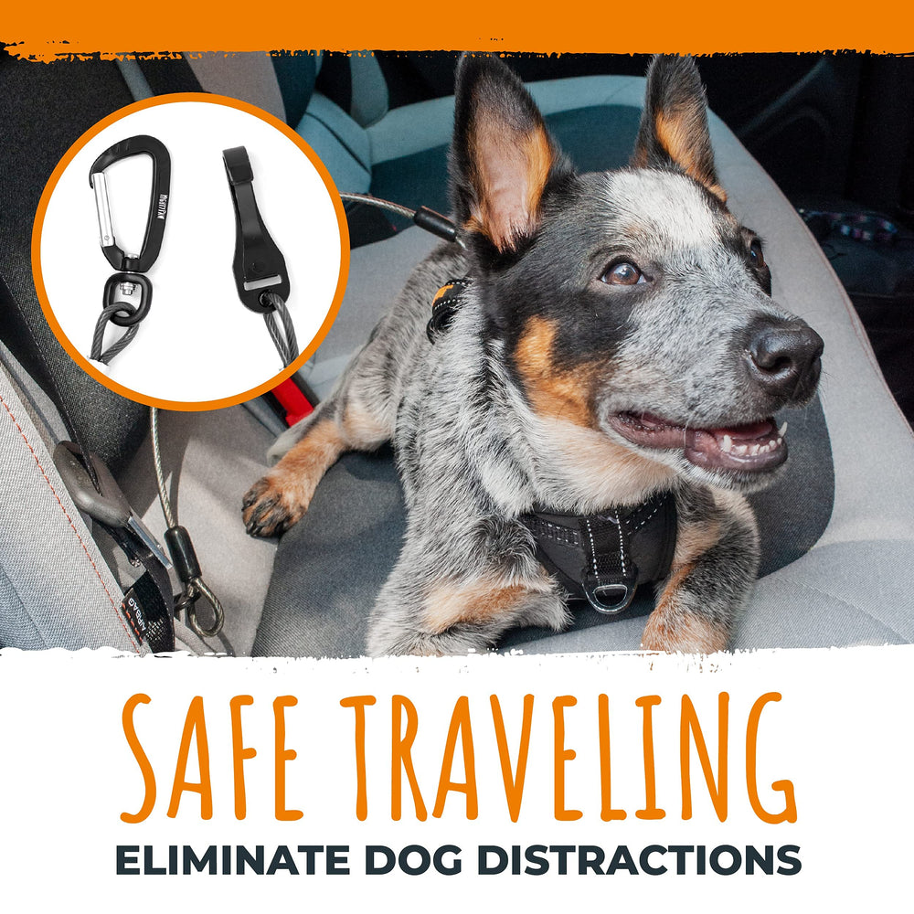 Mighty Paw dog seat belt in-vehicle-fit demonstrates frame attachment using latch bars for secure travel.