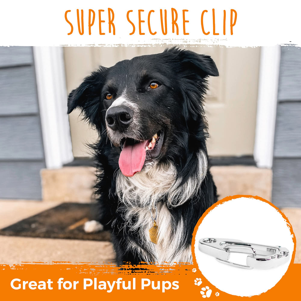 Mighty Paw Dog Tag Carabiner Clip 3-pack designed for multi-dog households