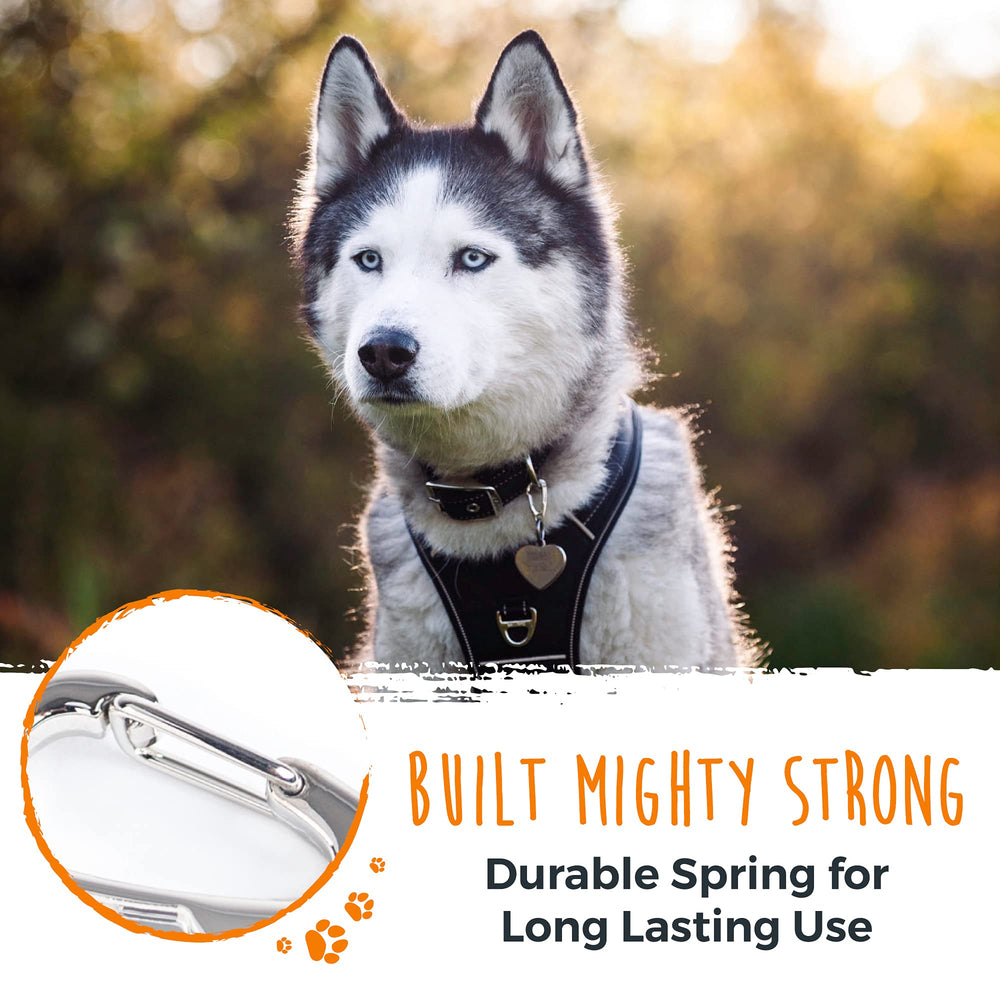 Mighty Paw Dog Tag Carabiner Clip in use on leash for quick access