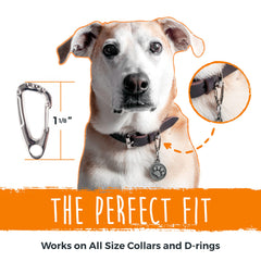 Mighty Paw Dog Tag Carabiner Clip features a strong clip for active dogs