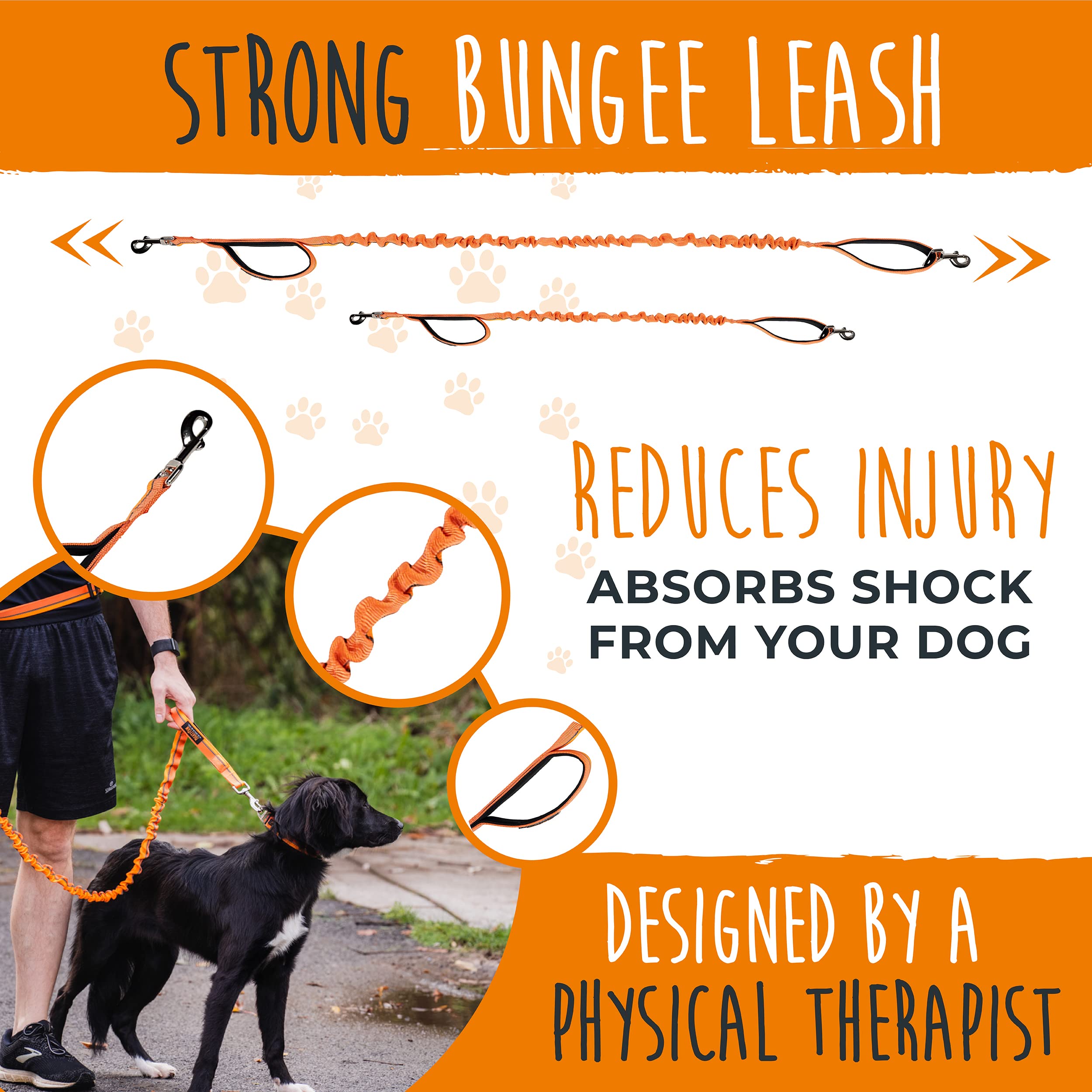 Mighty Paw dog walking setup enables safer, hands-free jogging with your pet.