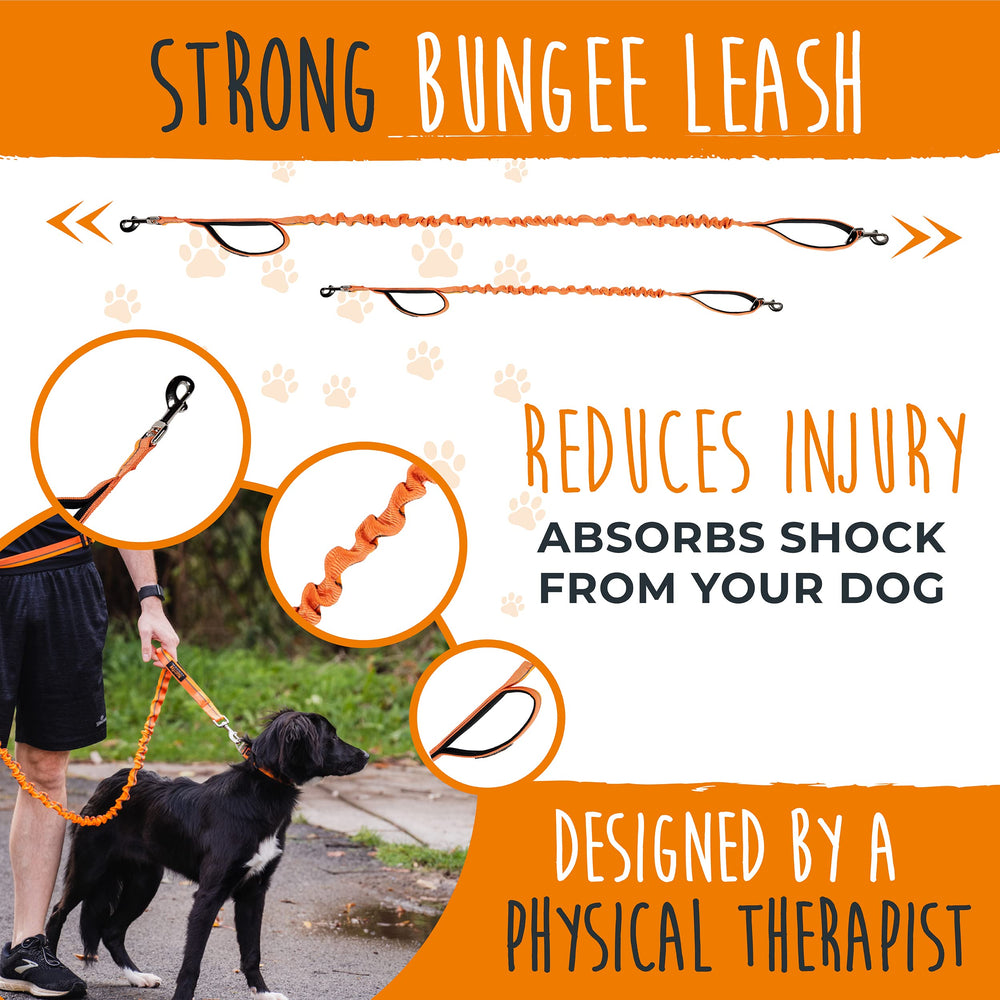 Mighty Paw dog walking setup enables safer, hands-free jogging with your pet.